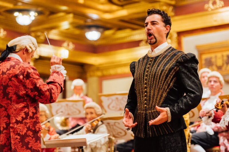 Vienna: Mozart Concert in the Brahms Hall - Meeting and Venue