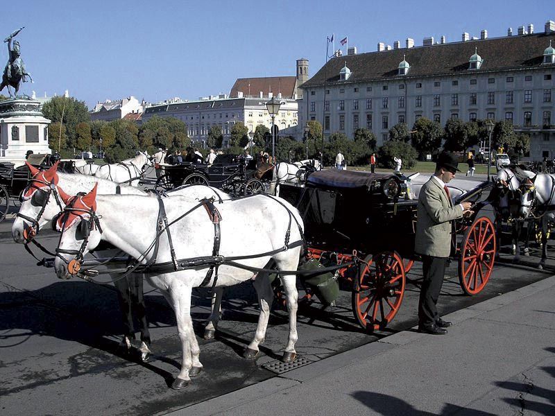 Vienna: Mozart Concert With Dinner and Carriage Ride - Availability and Booking Information