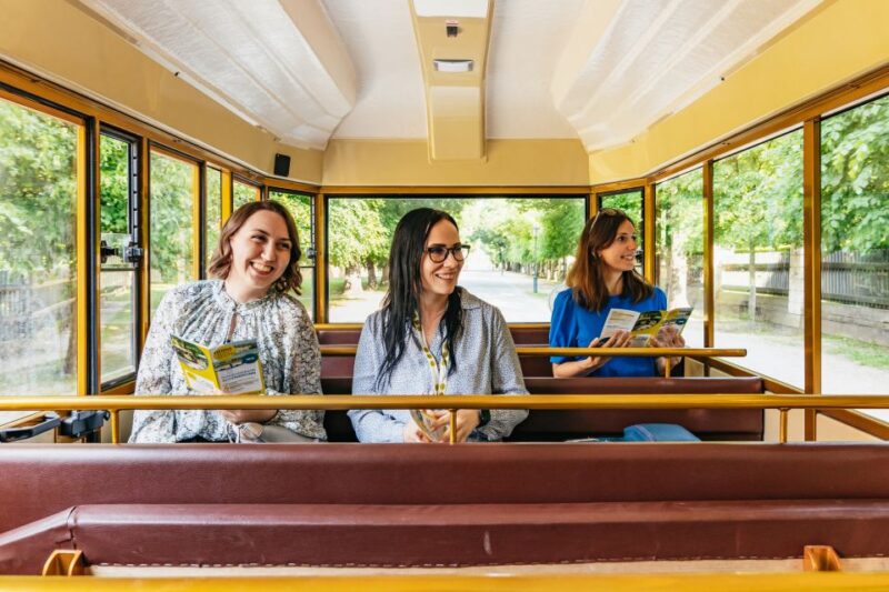 Vienna: Panorama Train Tickets to Explore Schönbrunn Palace - Explore at Your Own Pace