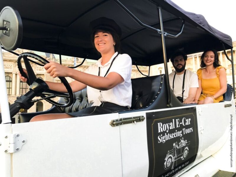 Vienna: Private Electric-Oldtimer Sightseeing Tour - Highlights of the Tour