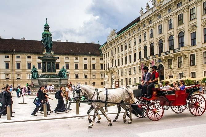 Vienna - Private Guided Tour - Accessibility and Transportation