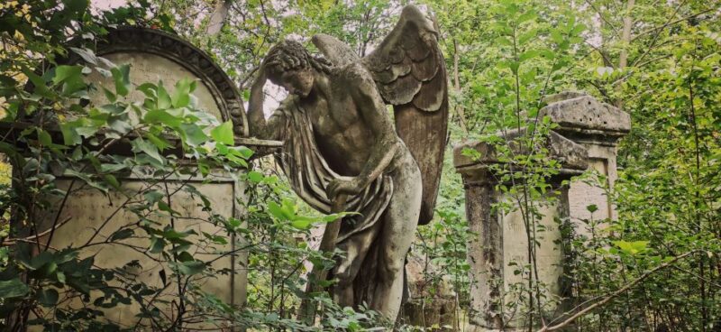 Vienna: Private Walking Tour St. Marx Cemetery - Mozart Tomb - Key Points