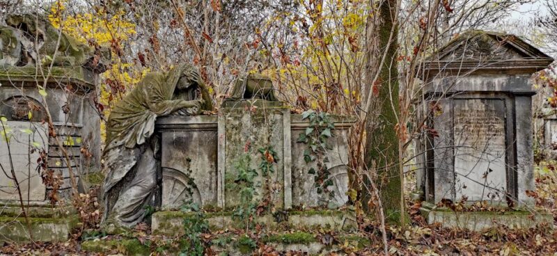 Vienna: Private Walking Tour St. Marx Cemetery - Mozart Tomb - Weathering Gravestones and Disappearing Names