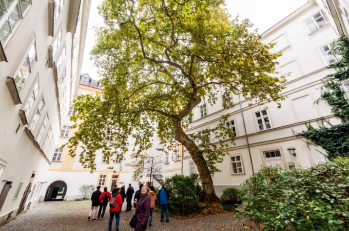 Vienna: Romantic Old Town 2-Hour Discovery Tour - Past and Present of Vienna