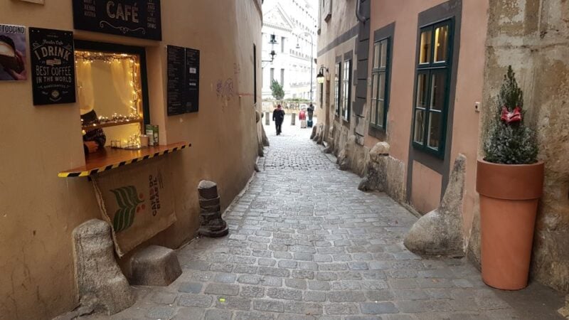 Vienna: Romantic Old Vienna City Walk and Wine Tasting - Exclusive Wine Tasting Experience