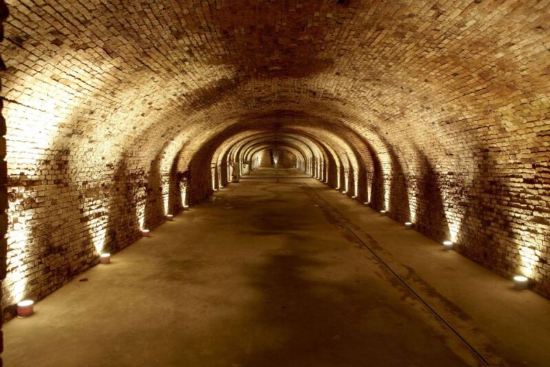 Vienna: Schlumberger Wine Cellar Guided or Self-Guided Tour - Disgorging and Dosage Process