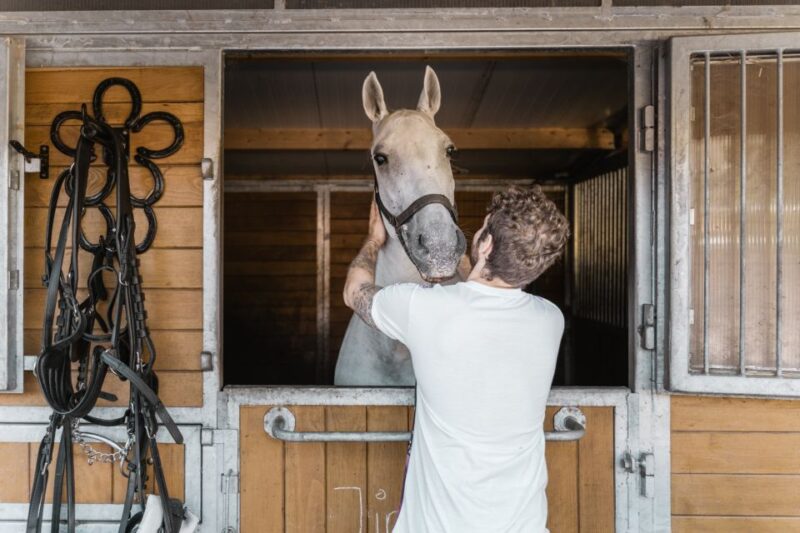 Vienna: Secrets of the Fiaker & Horse-Drawn Carriage Ride - Tour Highlights