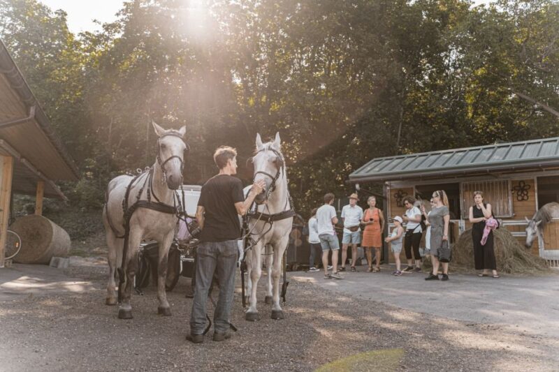 Vienna: Secrets of the Fiaker & Horse-Drawn Carriage Ride - Inclusions