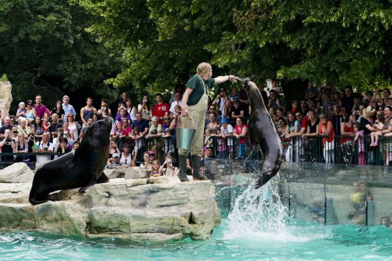 Vienna: Skip-the-line Tickets for Schönbrunn Zoo - Key Points