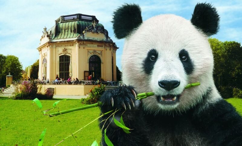 Vienna: Skip-the-line Tickets for Schönbrunn Zoo - Iconic Panda Residents