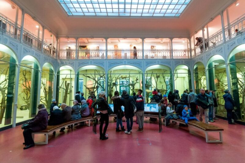 Vienna: Skip-the-line Tickets for Schönbrunn Zoo - Dining Options Within Zoo
