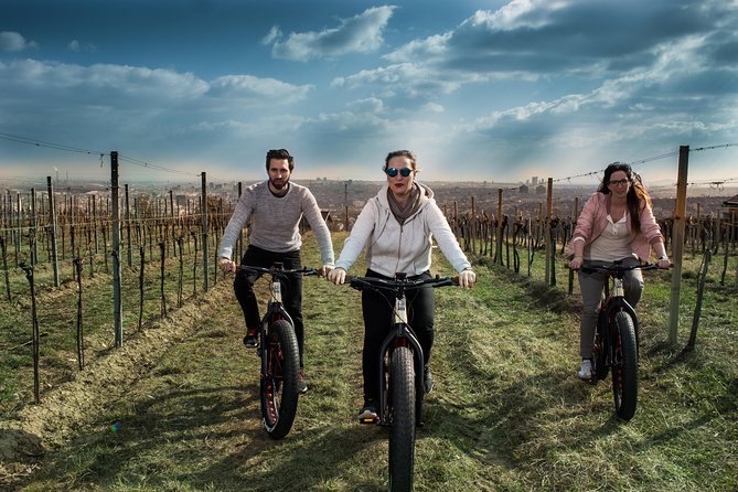Vienna Small Group E-Bike Tour - Physical Requirements
