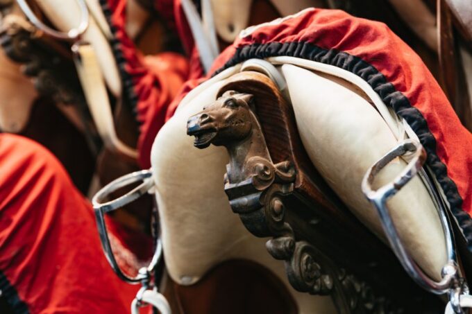 Vienna Spanish Riding School Guided Tour - Visitor Restrictions