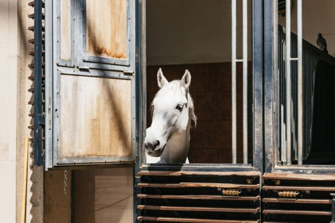Vienna Spanish Riding School Guided Tour - Directions to the Venue