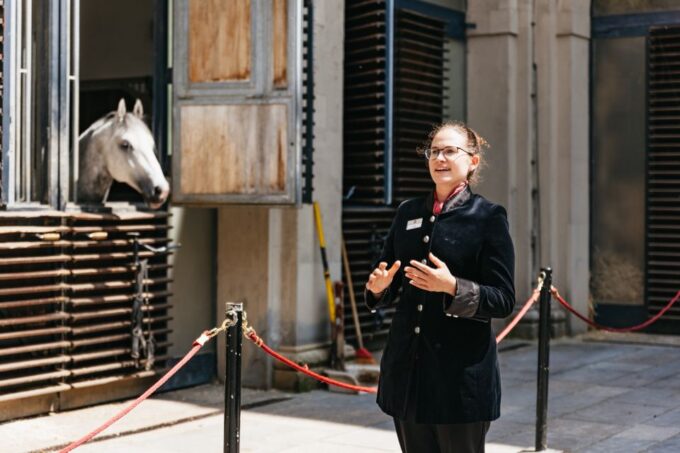 Vienna Spanish Riding School Guided Tour - Frequently Asked Questions