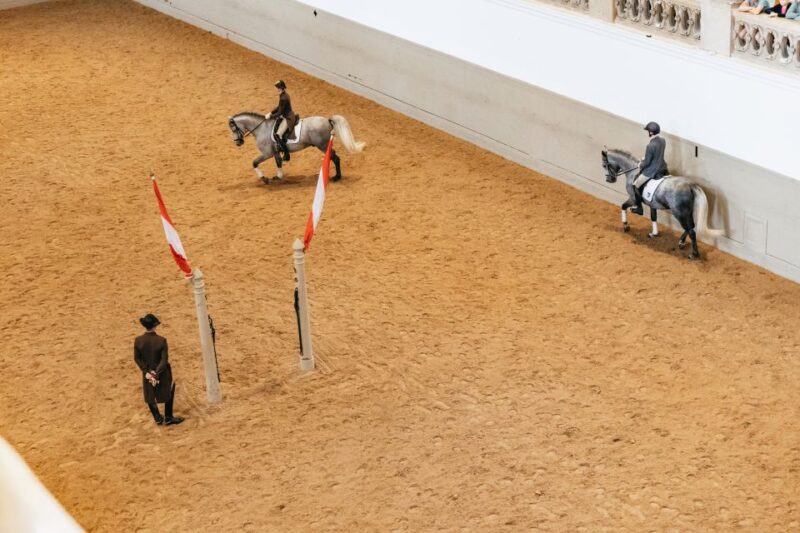 Vienna: Spanish Riding School Training - Refining Lipizzaner Movement