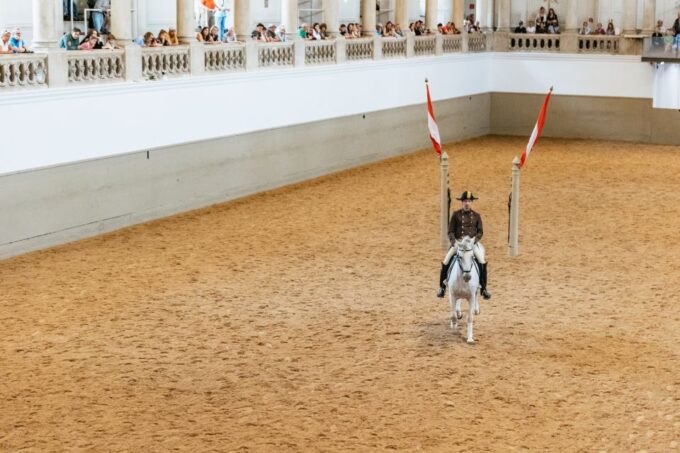 Vienna: Spanish Riding School Training - Famous School Jumps