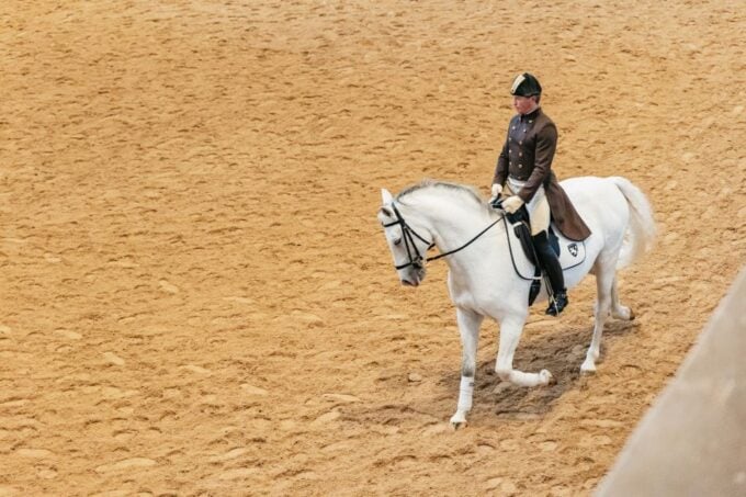 Vienna: Spanish Riding School Training - Frequently Asked Questions