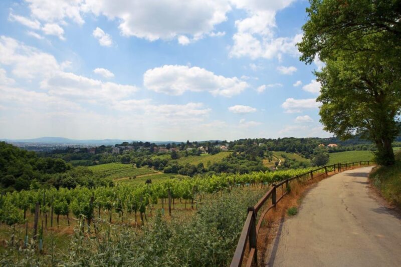 Vienna Vines & Tapas: Private Tasting Tour (9 Local Wines) - Transportation and Guide