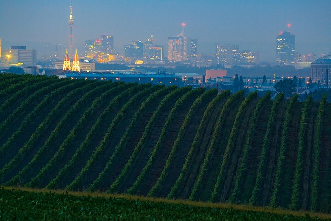 Vienna Vineyard and Danube River on Electric Bikes - Scenic Viewpoints and Photo Opportunities