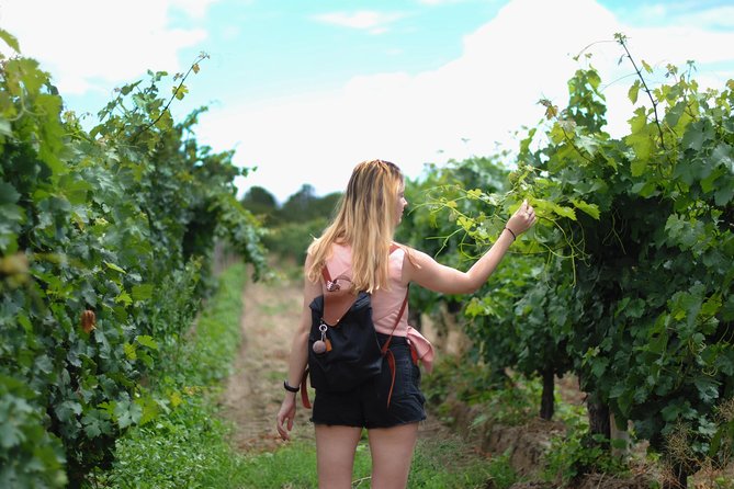 Vienna Vineyard and Danube River on Electric Bikes - Experiencing the Vibrant District 1