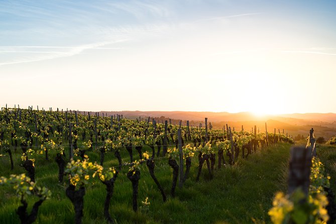 Vienna Vineyard and Danube River on Electric Bikes - Preparing for the Electric Bike Adventure