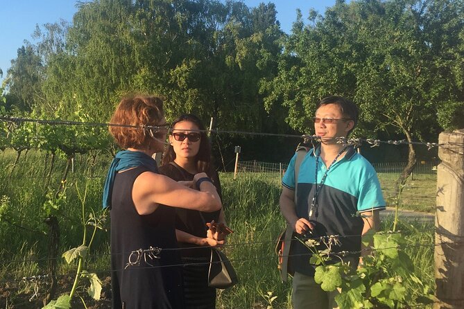 Vienna Wine Experience - Exploring Austrian Wine Culture