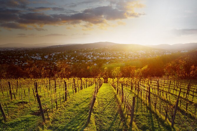 Vienna Wine Experience - Customization and Flexibility