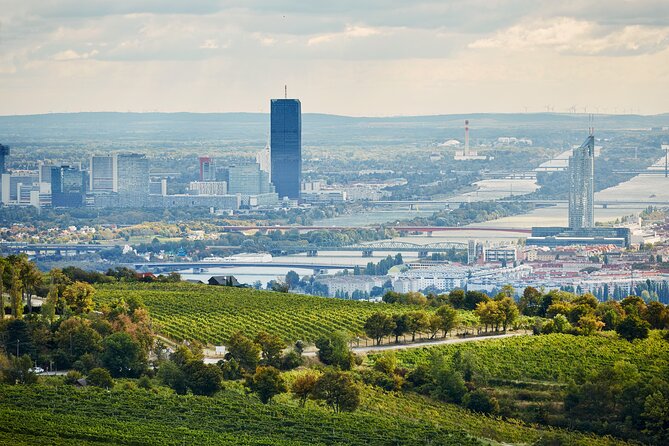 Vienna Wine Experience - Participant Recommendations