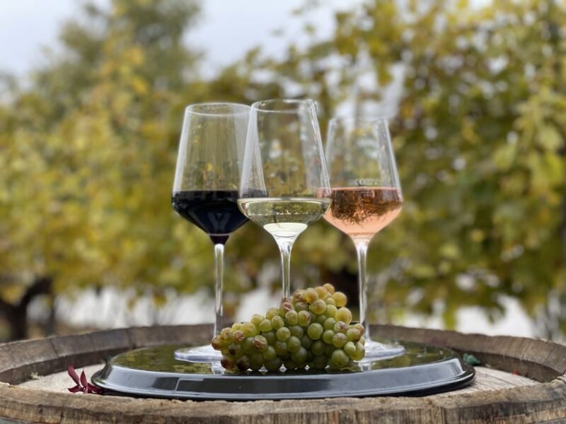 Vienna: Wine Tasting at Schönbrunn Palace - Highlights of the Wine Tasting