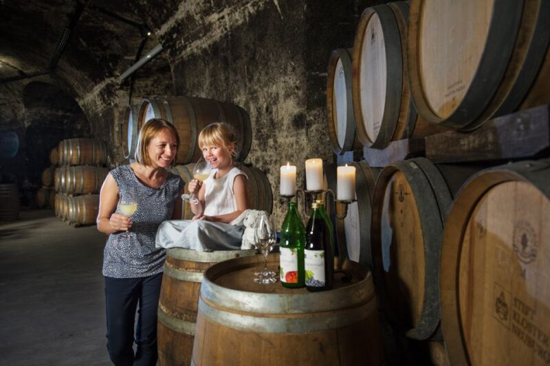 Vienna: Wine Tasting E-Bike Tour - Key Points