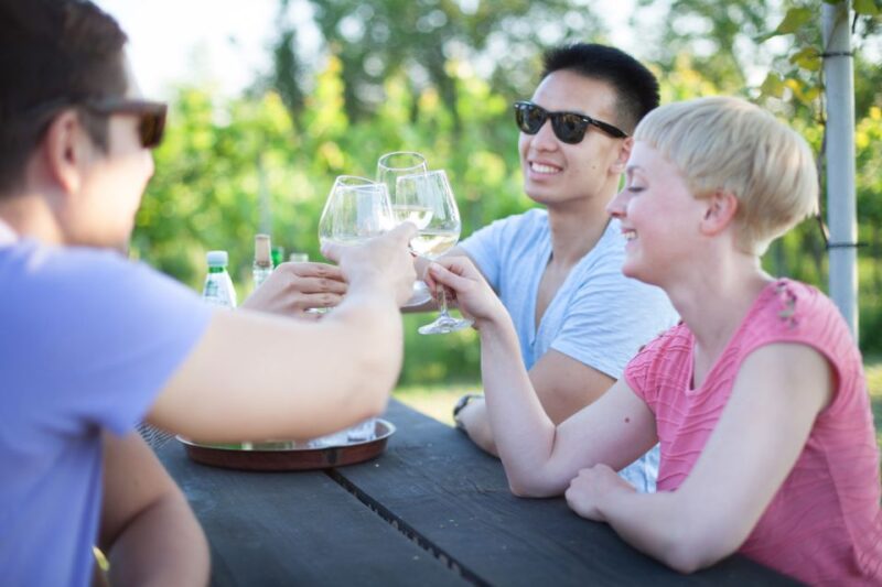 Vienna: Wine Tasting E-Bike Tour - Scenic Danube River