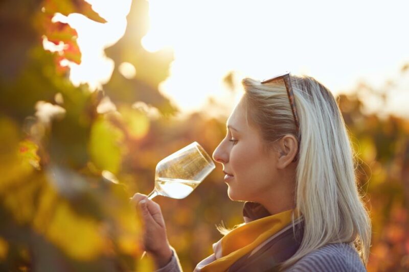 Vienna: Winery and Wine Tasting Tour With a Wine Expert - Inclusions