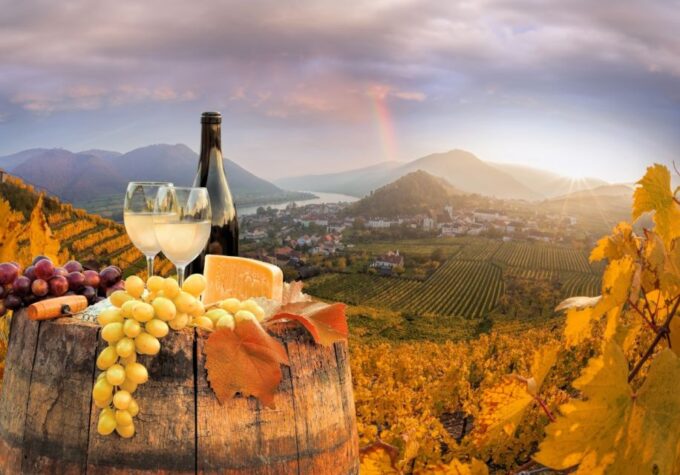 Vienna: Winery and Wine Tasting Tour With a Wine Expert - Frequently Asked Questions