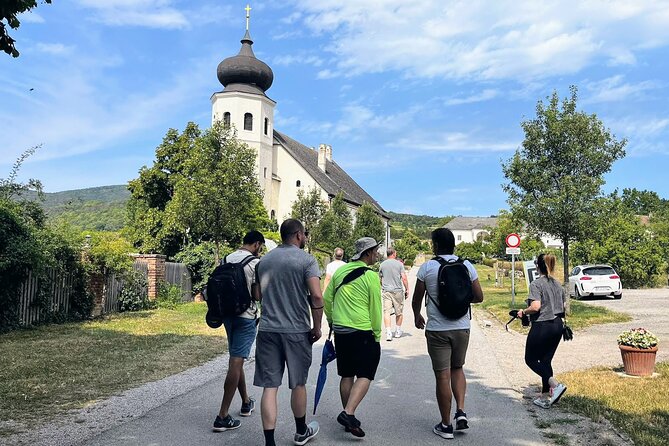 Vienna Woods Wine Tour - Wines, Vines & Good Times! - Summer and Winter Experiences