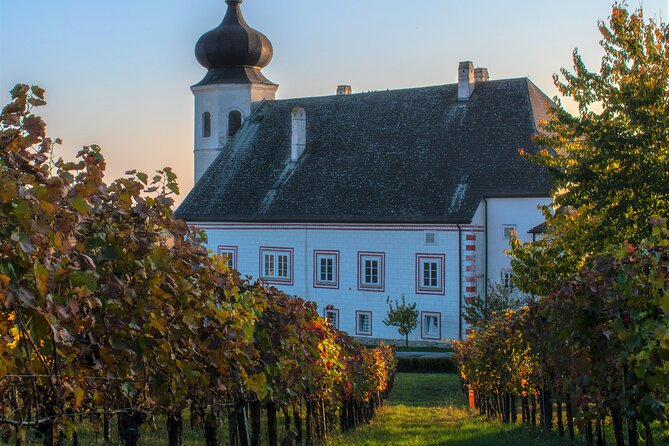 Vienna Woods Wine Tour - Wines, Vines & Good Times! - Essential Requirements