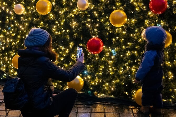 Viennas Christmas Market Magic Tour - Booking Information