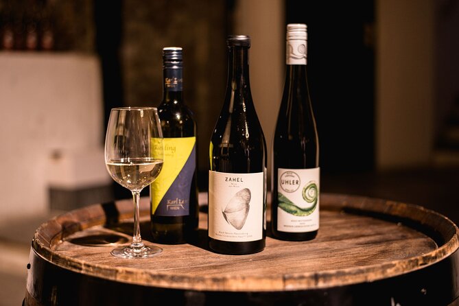 Viennese Wine Tasting in a Private Hidden Wine Cellar - Good To Know