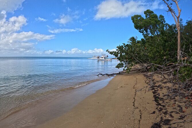 Vieques All-Inclusive: Swim with Turtles & Enjoy Pristine Beaches - A Detailed Look at the Vieques All-Inclusive Tour