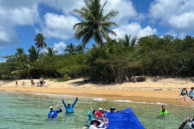 Vieques All-Inclusive: Swim with Turtles & Enjoy Pristine Beaches - Authentic Traveler Feedback