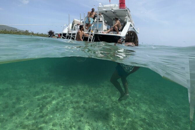Vieques All-Inclusive: Swim with Turtles & Enjoy Pristine Beaches - Final Thoughts: Is It Worth It?