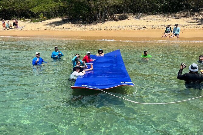 Vieques All-Inclusive: Swim with Turtles & Enjoy Pristine Beaches - FAQ