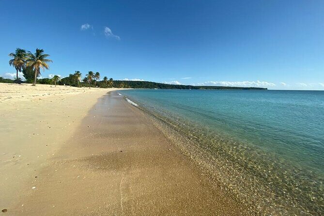 Vieques Bio Bay Tour and Beach Day Trip from San Juan by Ferry - FAQ – Practical Questions About the Tour