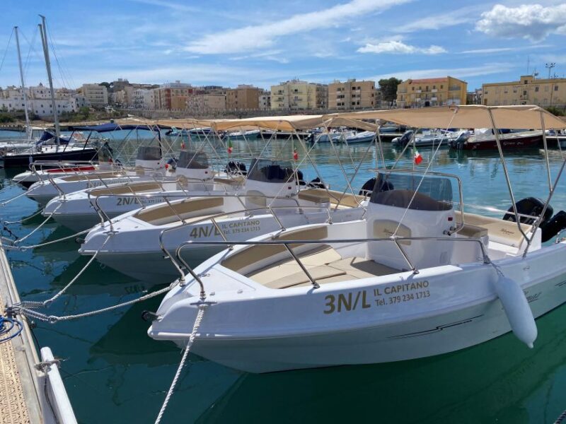 Vieste: Boat Tour of the Gargano Coast - Language and Accessibility Options