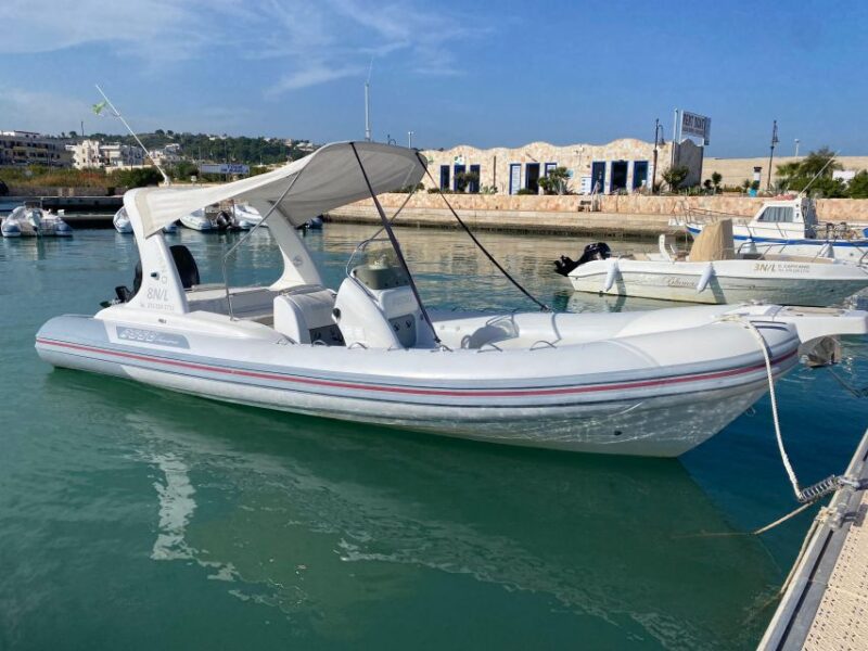 Vieste: Private Tour in Croatia (Pelagosa) by Dinghy - Key Points