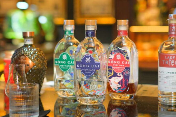 Vietnam Gin Tasting Experience With Ministry Social Club - Discovering Vietnamese Gins
