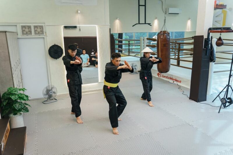 Vietnam Vocotruyen Martial Arts Experience - Taking in the Cultural Significance of Vocotruyen