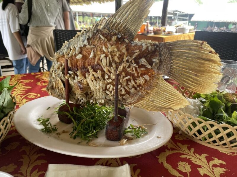 Vietnam's Safest No.1 Popular Private Car Tour to Go Home From Mekong River Cruise / Japanese Guide / Lunch With Elephant Ear Fish - Additional Information and Options