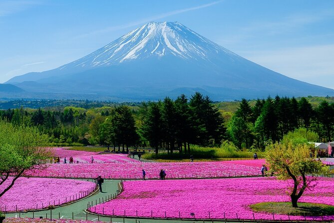 View of Mt. Fuji, Chureito Pagoda and Hakone Cruise Day Trip - Hakone Cruise Experience