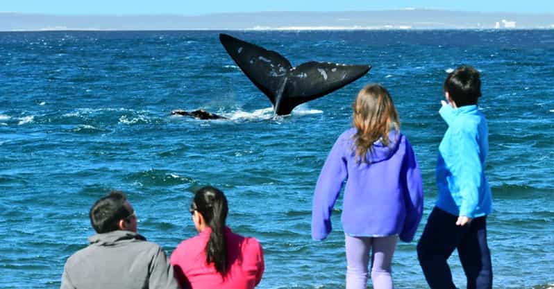 View of the Whales: Transfer to El Doradillo Beach - Beach Exploration